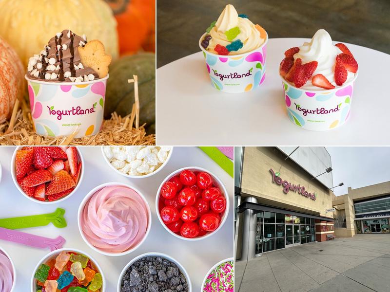 Yogurtland Carson