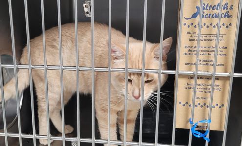 Oregon Humane Society Salem Campus