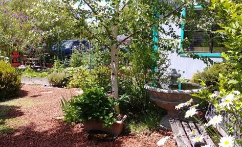 Blessings From Heaven