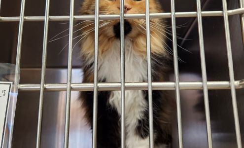 Heartland Humane Shelter & care