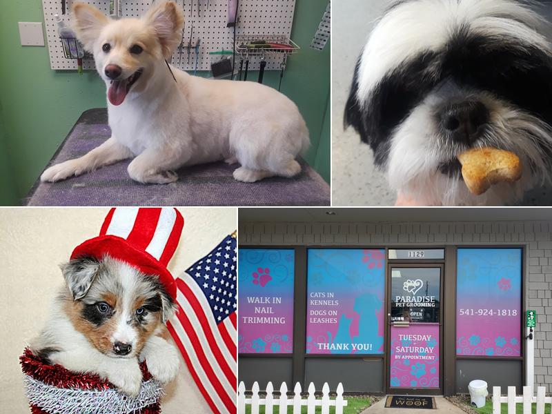 Paradise Pet Grooming