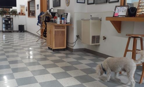 Northland Performance Inc Bismarck