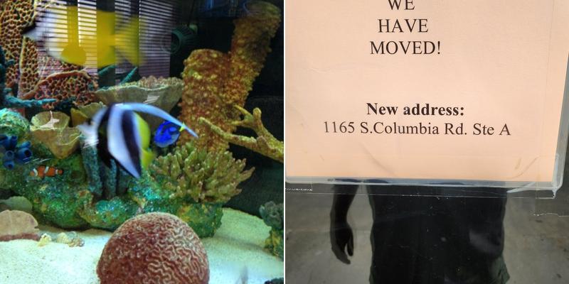 Danel & Nord Orthodontics