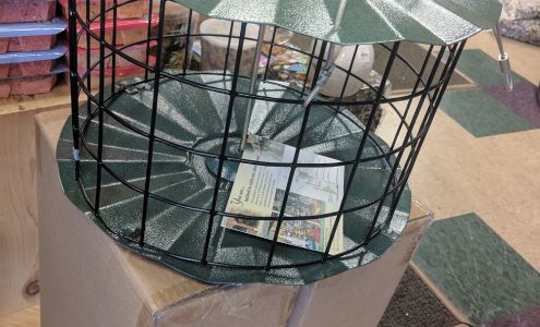 Wild Bird Center of Charlotte