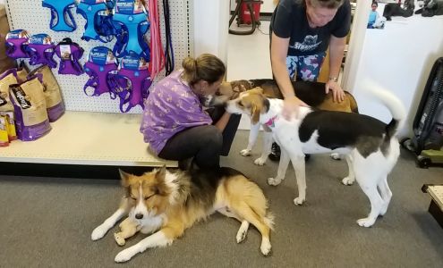 Central Pet Supply & Grooming