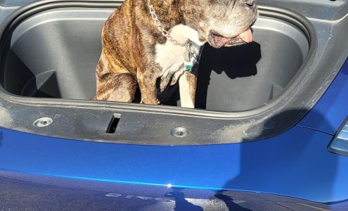 Top Dog Pet Grooming Port Saint John