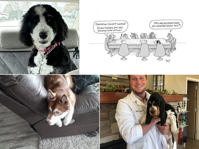 Cedar Ridge Animal Hospital