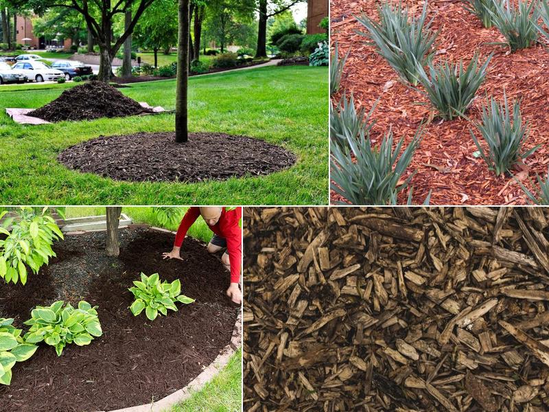 Martin Lumber & Mulch, LLC