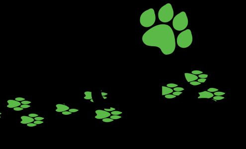 Village Pet Products Canton