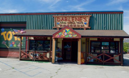 DARLENE'S REAL SWELL TOYS