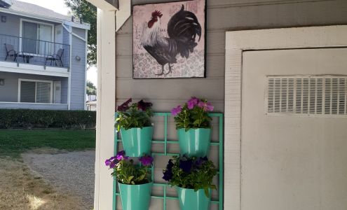 Mountain Gardens Nursery & Pet