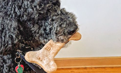 B & J's Pampered Pup Bakery