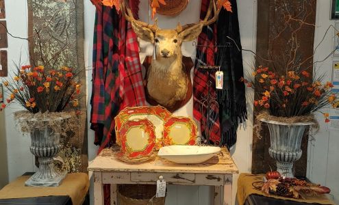 Cool and Collected Antiques