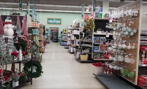 Stein's Garden & Home