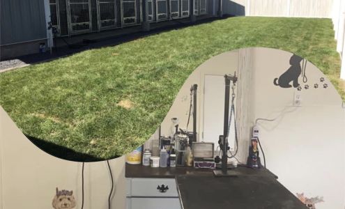 Bark Avenue Pet Grooming Salon 1205 Shriver rd, 190 Journeys End Ln, Orofino Idaho 83544