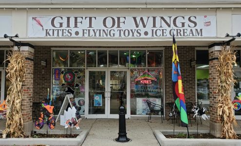 Gift of Wings