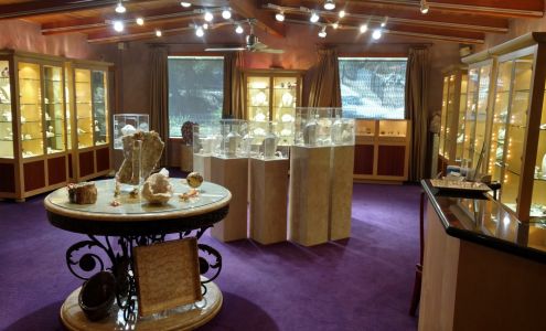 The Collector Fine Jewelry