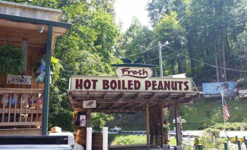 Bearmeat's Indian Den