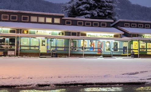 Momma T's Mountain Made