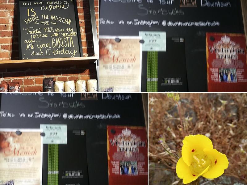Starbucks Menu