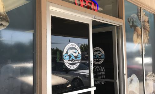 Gx3 Reptiles and Exotic Pets