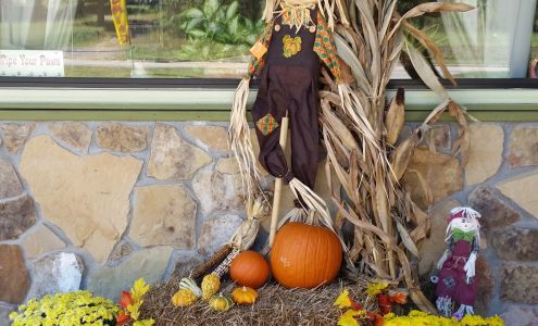 Franklin Grooming & Pet Boutique