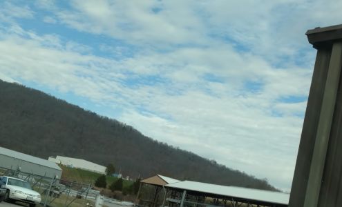 Virginia Electric Supply Duffield