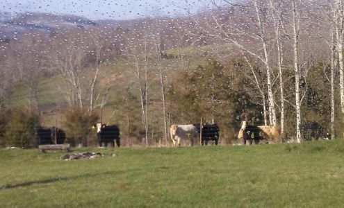 Kane Gap Kennels Duffield