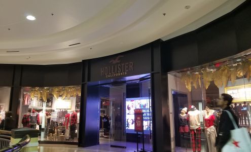 Hollister Co.