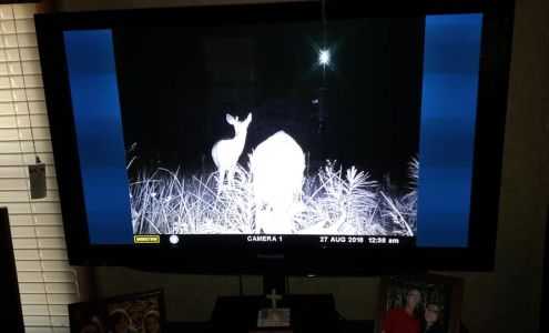 Haynesville feed and seed Haynesville