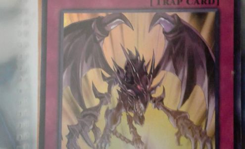 TVN Sports Cards & Collectibles