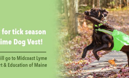 Dog Not Gone/Maine Stitching, Made in Maine