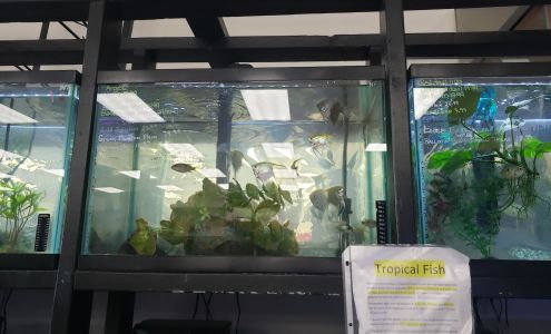 Family Pet Connection