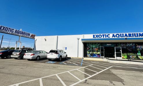 Exotic Aquarium