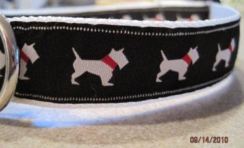 Palmetto Dog Wear Pawleys Island