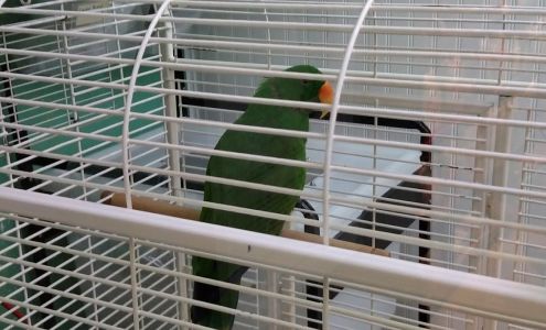 National Petland Southport