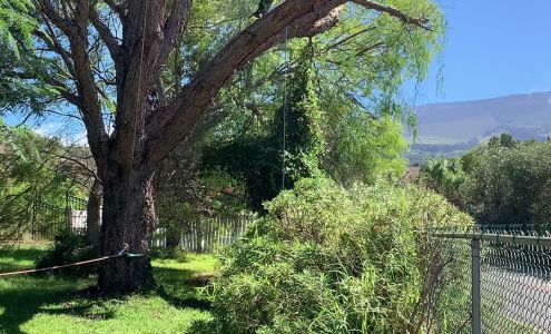 Kula Hardware & Nursery Kula