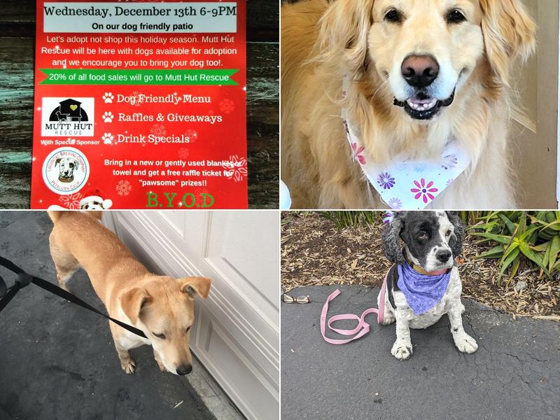 Muddy Paws Pet Grooming