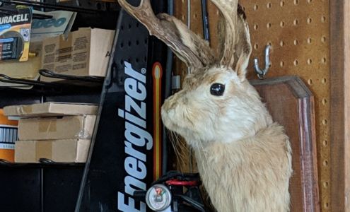 Austin's Pawn Shop & Variety