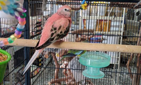 Backyard Treasures Moncks Corner