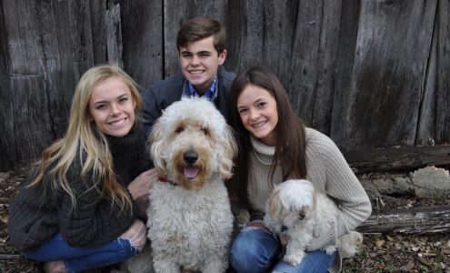 Platinum Goldendoodles Everton