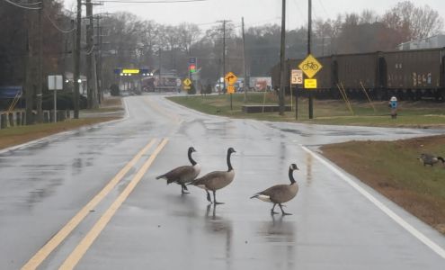 ERI - Electronic Recyclers International