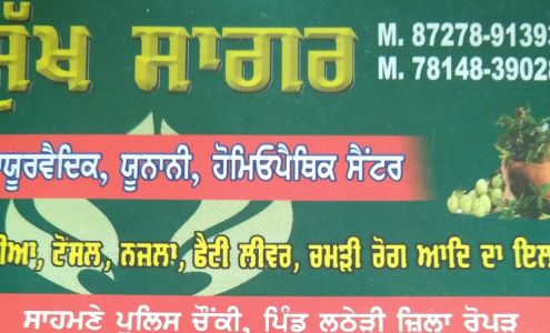 Wiz Electronics Inc.