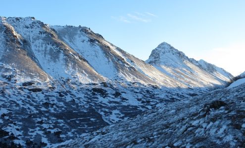 Orocal Gold Nugget Company