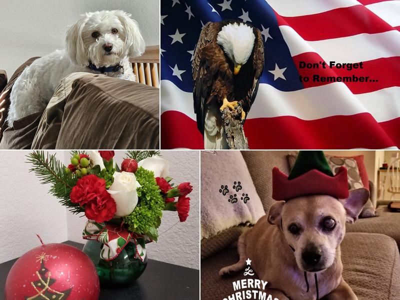 Aggie's Grooming Shop