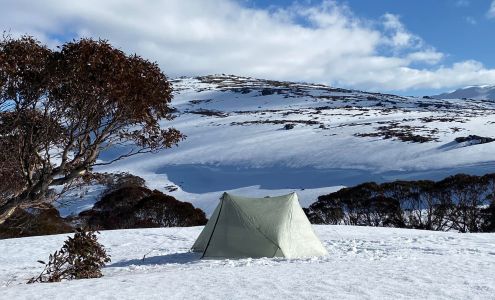 Tarptent