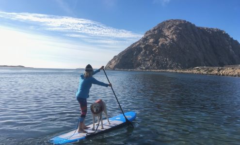 Morro Bay Paddlesports