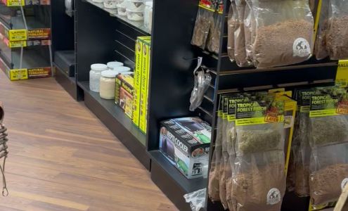 Curious Pets and Curiosities, Inc