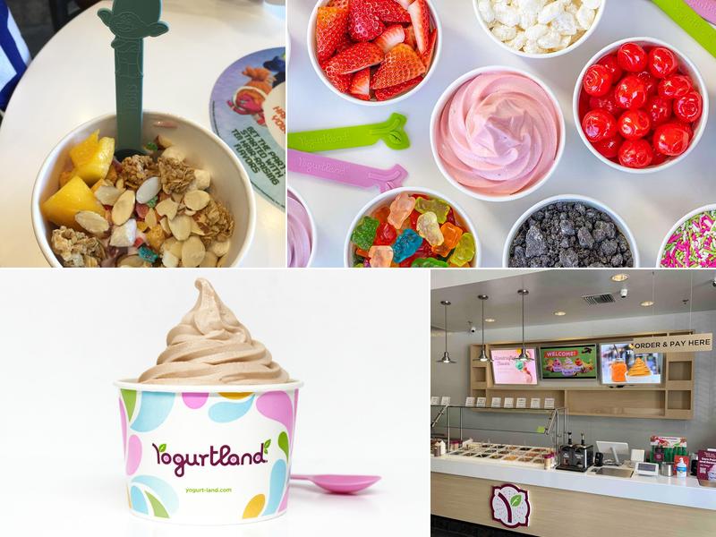Yogurtland Buena Park