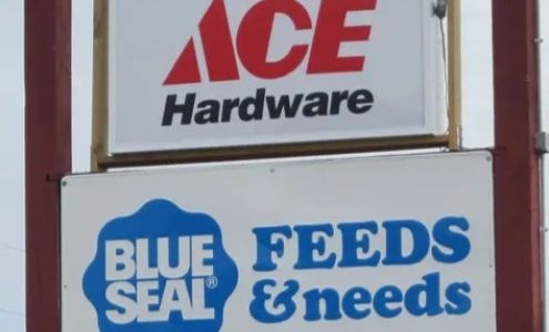 RZR Ace Hardware Waldoboro